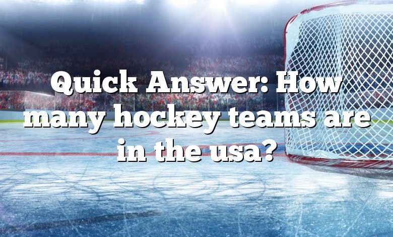 Quick Answer: How many hockey teams are in the usa?