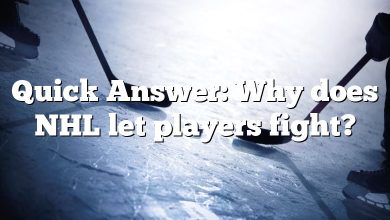 Quick Answer: Why does NHL let players fight?