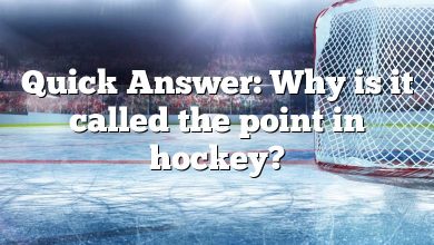 Quick Answer: Why is it called the point in hockey?