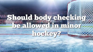 Should body checking be allowed in minor hockey?