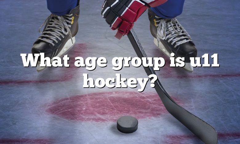 What age group is u11 hockey?