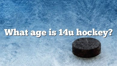 What age is 14u hockey?