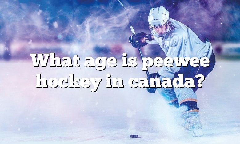 What age is peewee hockey in canada?