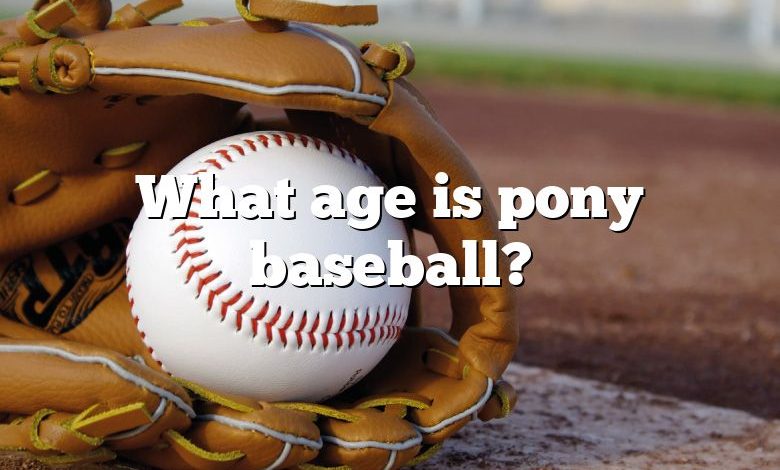 What age is pony baseball?