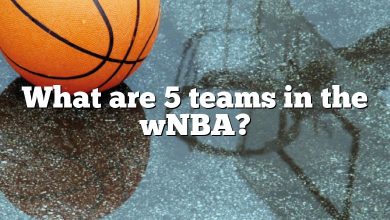 What are 5 teams in the wNBA?