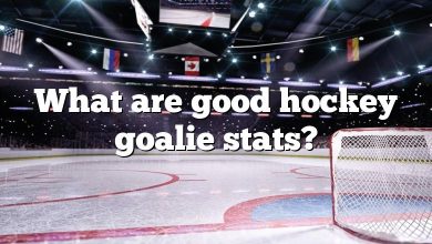 What are good hockey goalie stats?