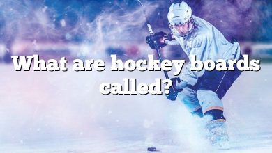 What are hockey boards called?