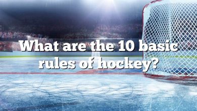 What are the 10 basic rules of hockey?