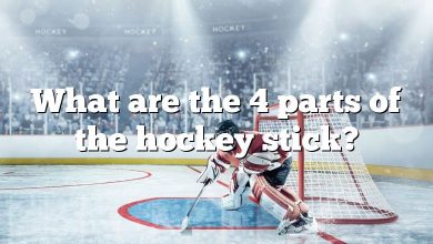 What are the 4 parts of the hockey stick?