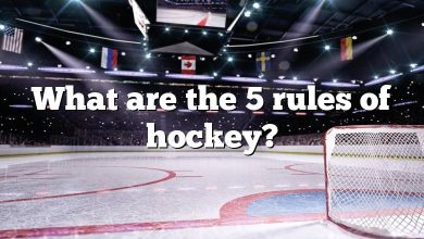 What are the 5 rules of hockey?