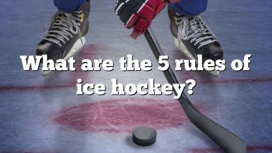 What are the 5 rules of ice hockey?