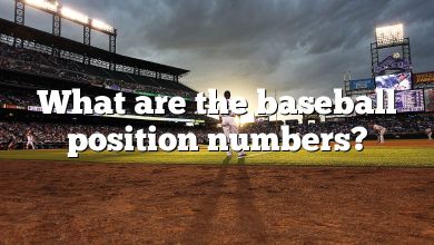 What are the baseball position numbers?