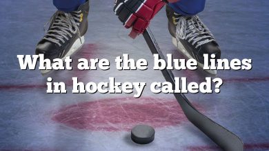 What are the blue lines in hockey called?