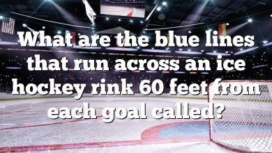 What are the blue lines that run across an ice hockey rink 60 feet from each goal called?