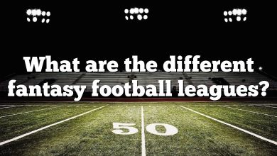 What are the different fantasy football leagues?