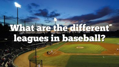 What are the different leagues in baseball?