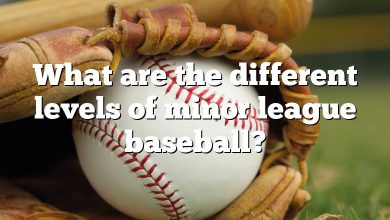 What are the different levels of minor league baseball?