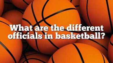 What are the different officials in basketball?
