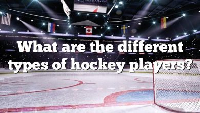 What are the different types of hockey players?