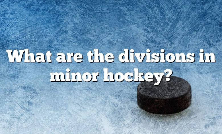 What are the divisions in minor hockey?