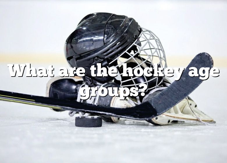 What Are The Hockey Age Groups? DNA Of SPORTS