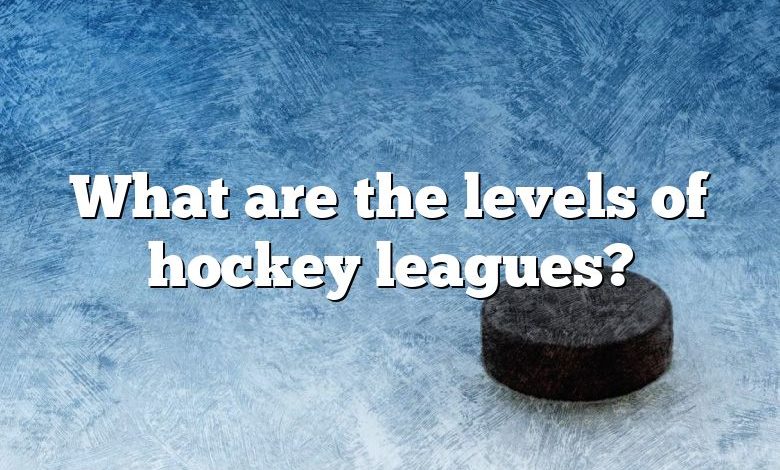 What are the levels of hockey leagues?