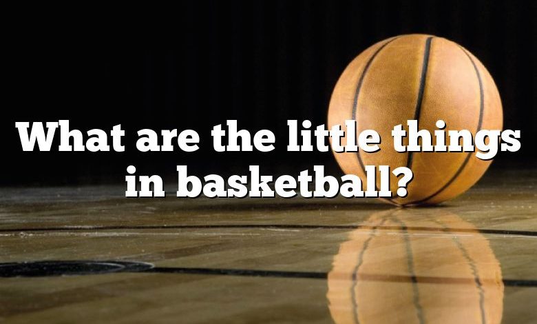 What are the little things in basketball?