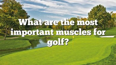 What are the most important muscles for golf?