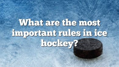 What are the most important rules in ice hockey?