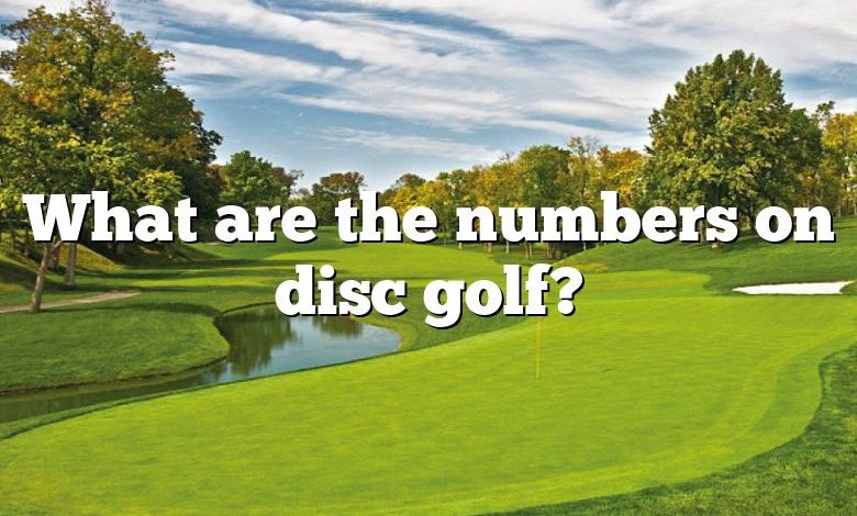 What are the numbers on disc golf?