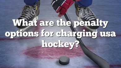What are the penalty options for charging usa hockey?