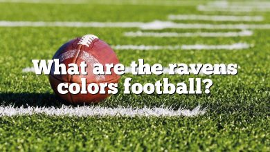 What are the ravens colors football?