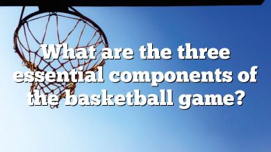 What are the three essential components of the basketball game?