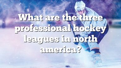 What are the three professional hockey leagues in north america?