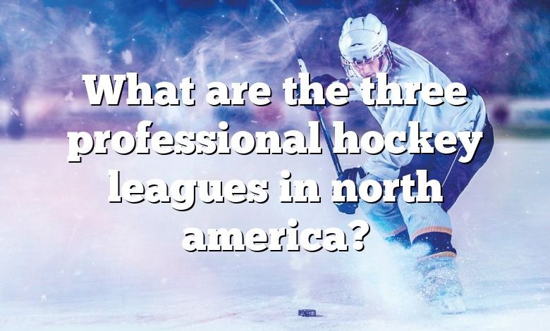 What are the three professional hockey leagues in north america?