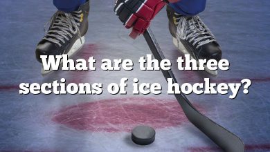 What are the three sections of ice hockey?