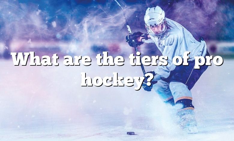 What are the tiers of pro hockey?