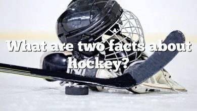 What are two facts about hockey?