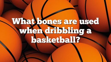 What bones are used when dribbling a basketball?