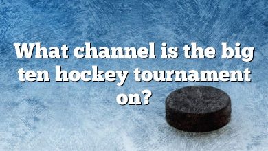 What channel is the big ten hockey tournament on?