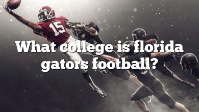What college is florida gators football?