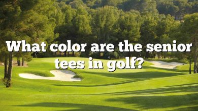 What color are the senior tees in golf?