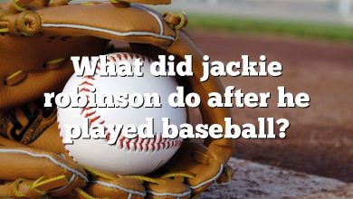 What did jackie robinson do after he played baseball?