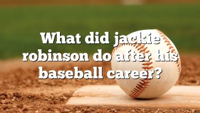 What did jackie robinson do after his baseball career?