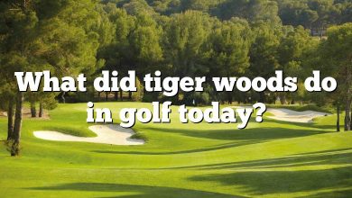 What did tiger woods do in golf today?