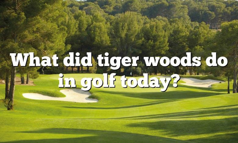 What did tiger woods do in golf today?