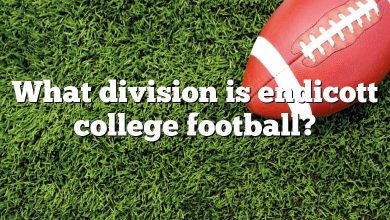 What division is endicott college football?