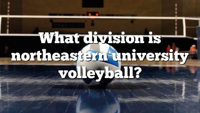 What division is northeastern university volleyball?