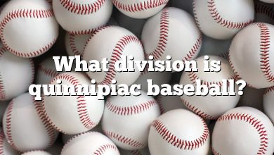 What division is quinnipiac baseball?