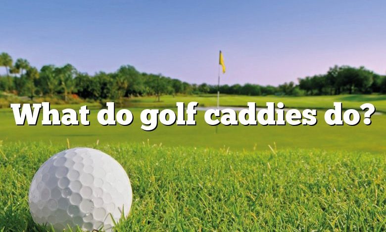 What do golf caddies do?